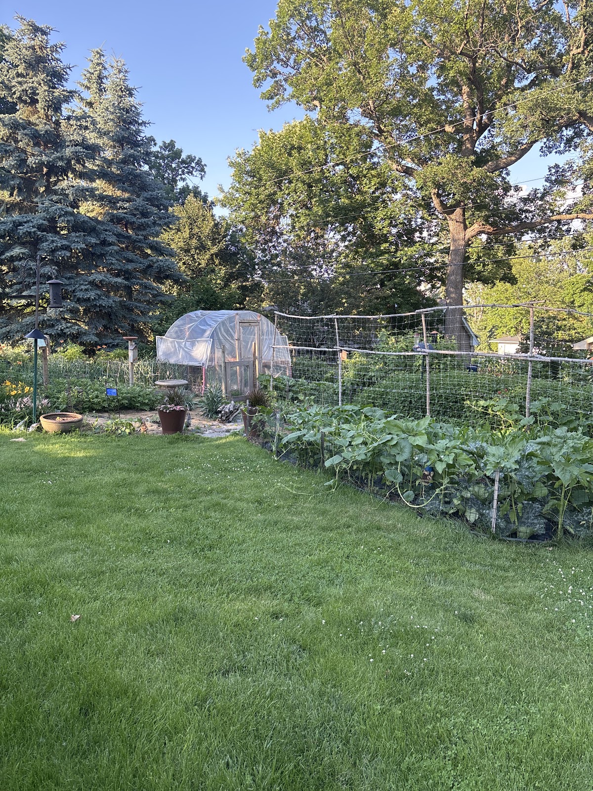 Greener Gardens