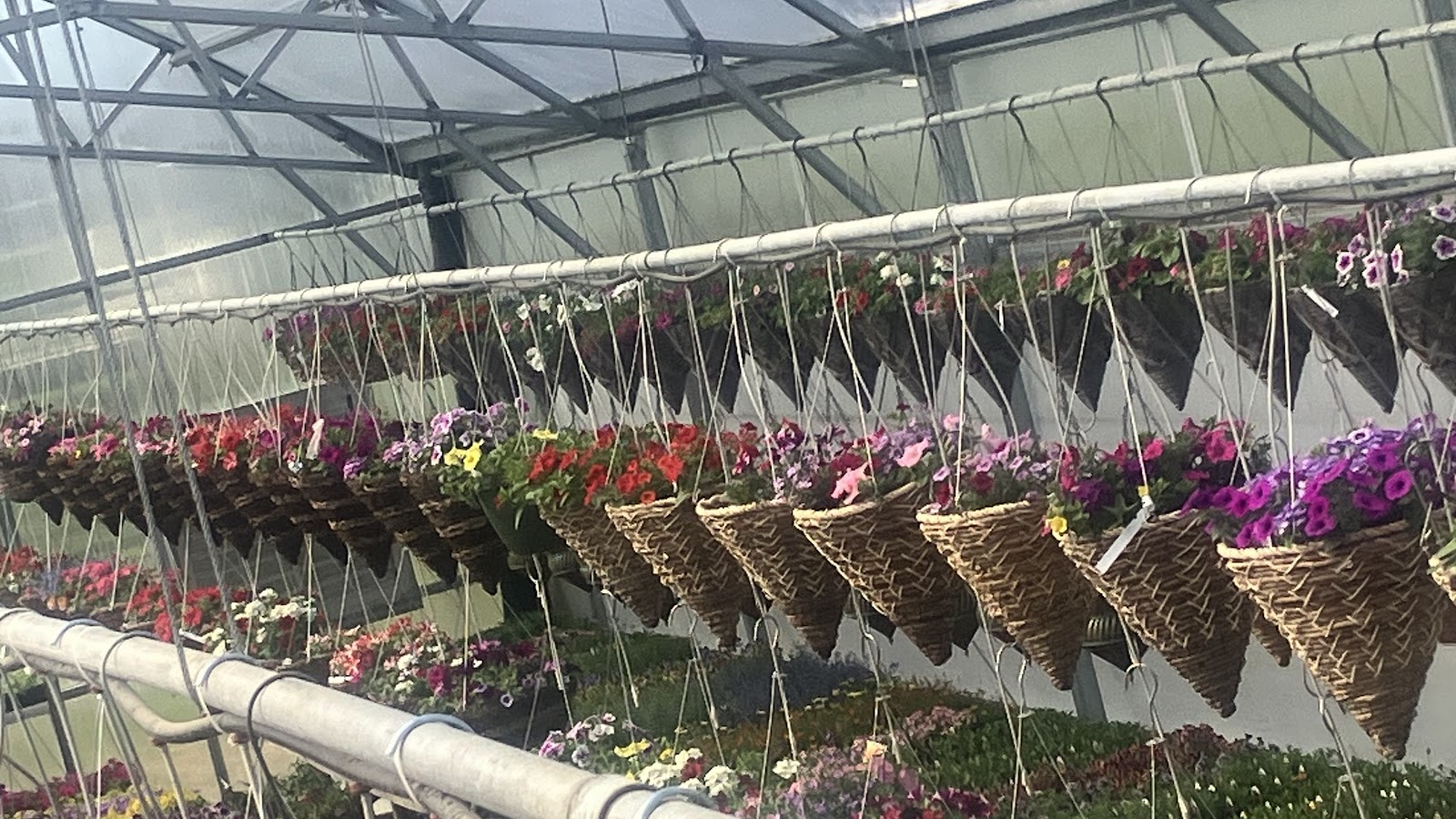 Greenhandle Greenhouses