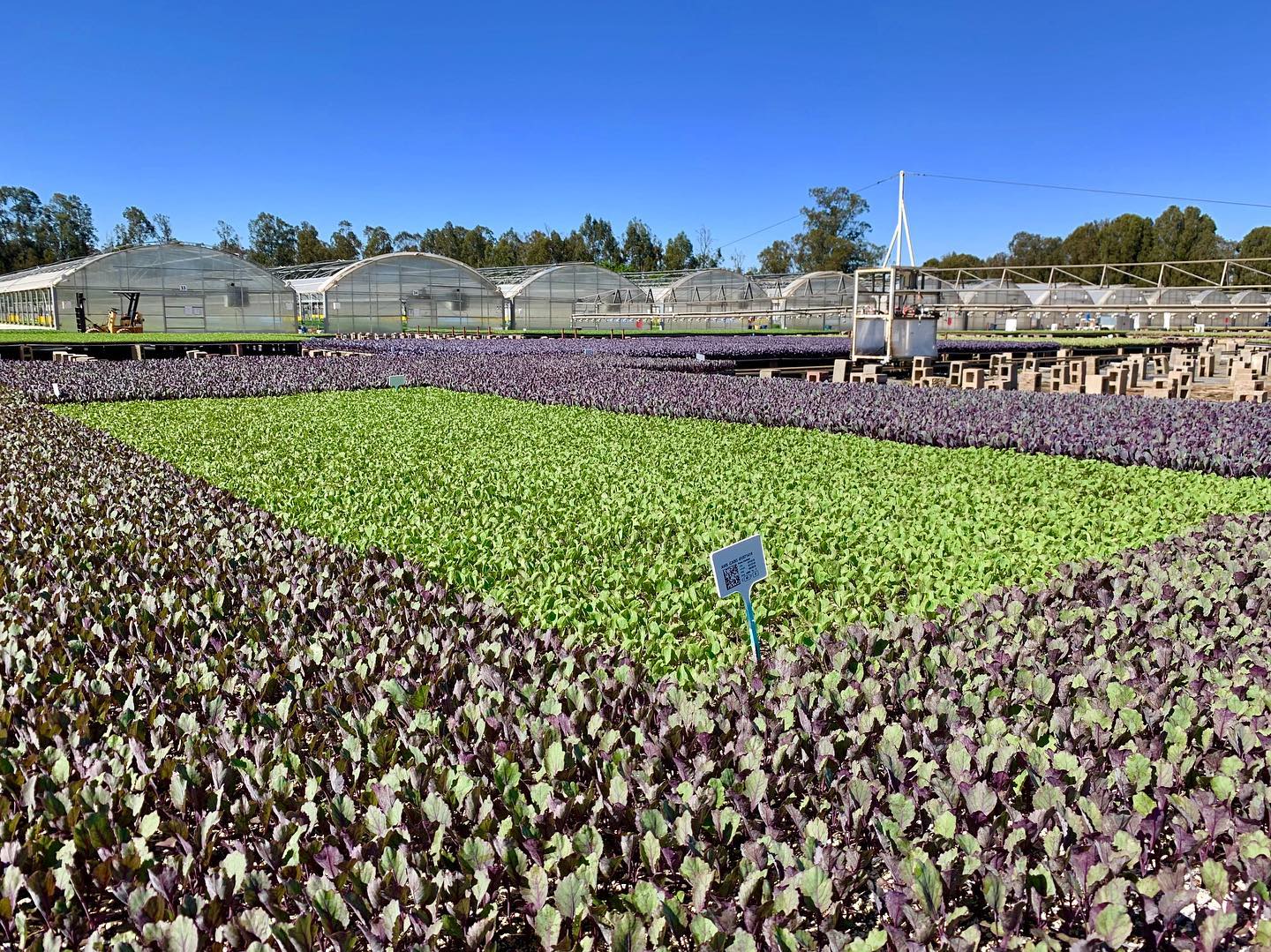 Greenheart Farms