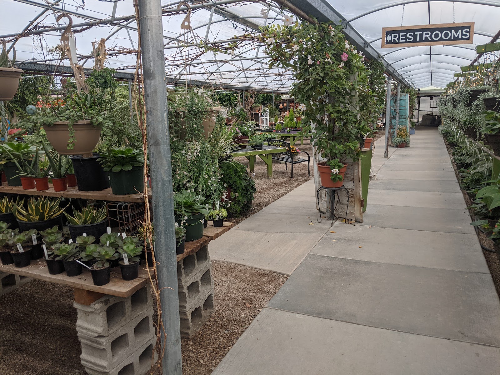 Greenhouse