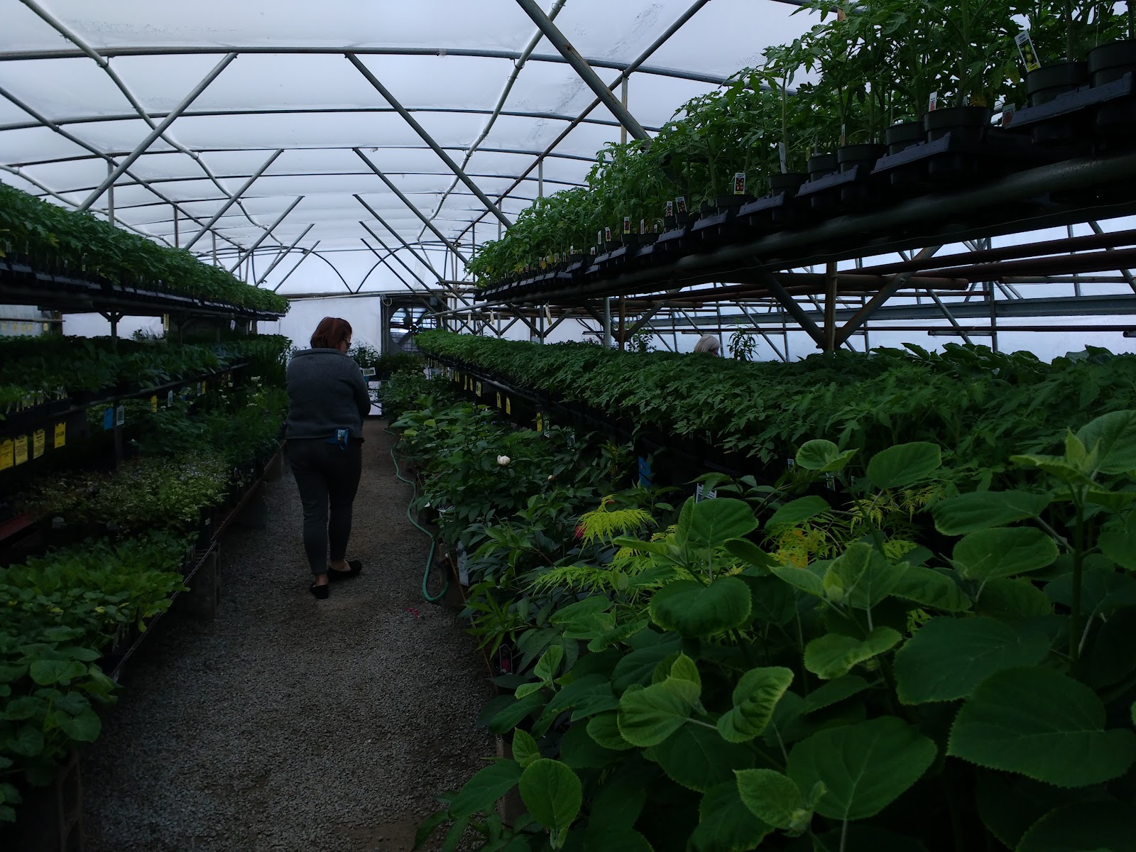 Greenhouse