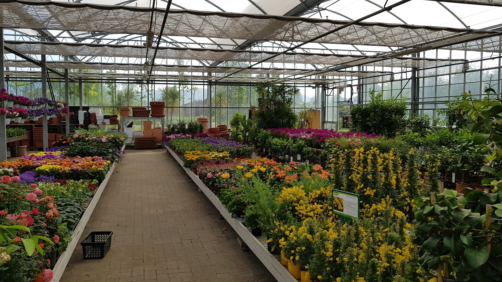 Greenhouse Garden Center