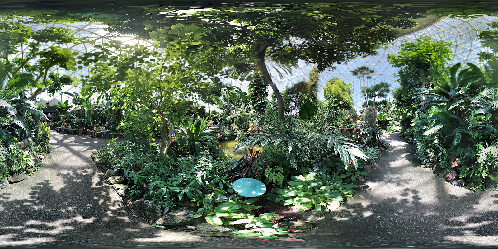 Greenhouse No. 7, at Mitchell Park Domes