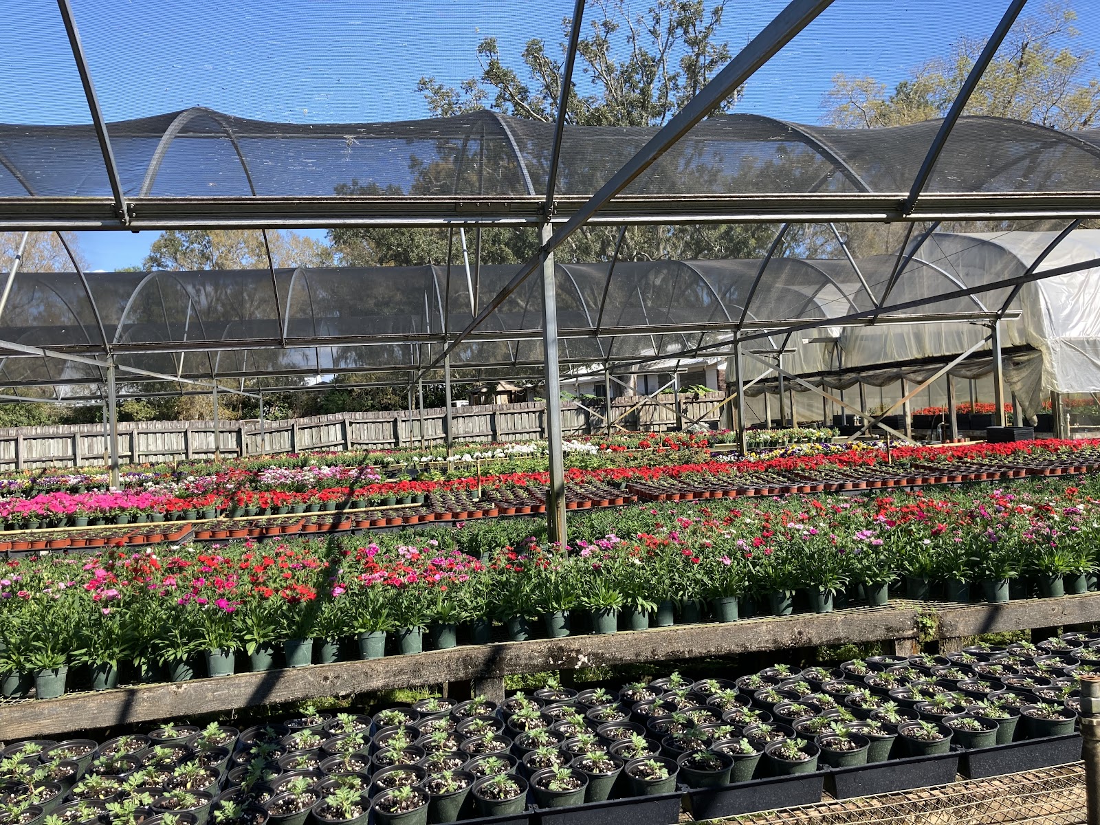 Greenhouse Ventures