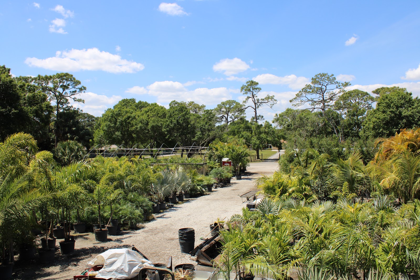 Greenland Nursery