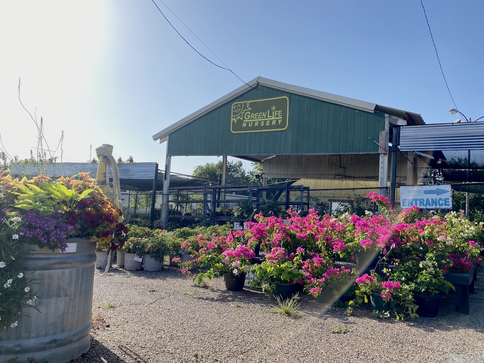 Greenlife Nursery