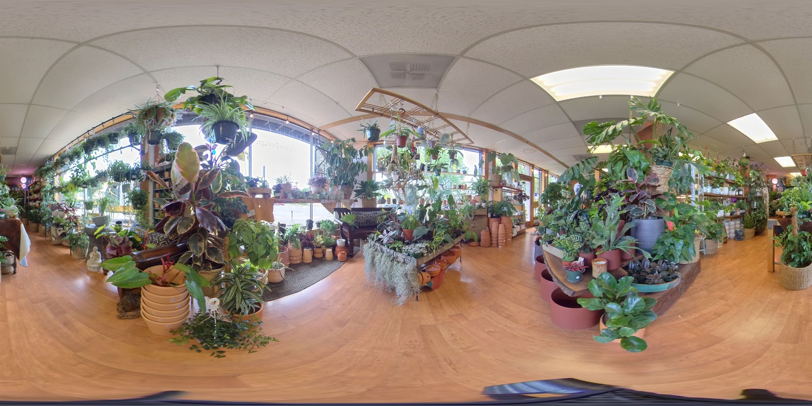 GreenSpaceDesign by jude