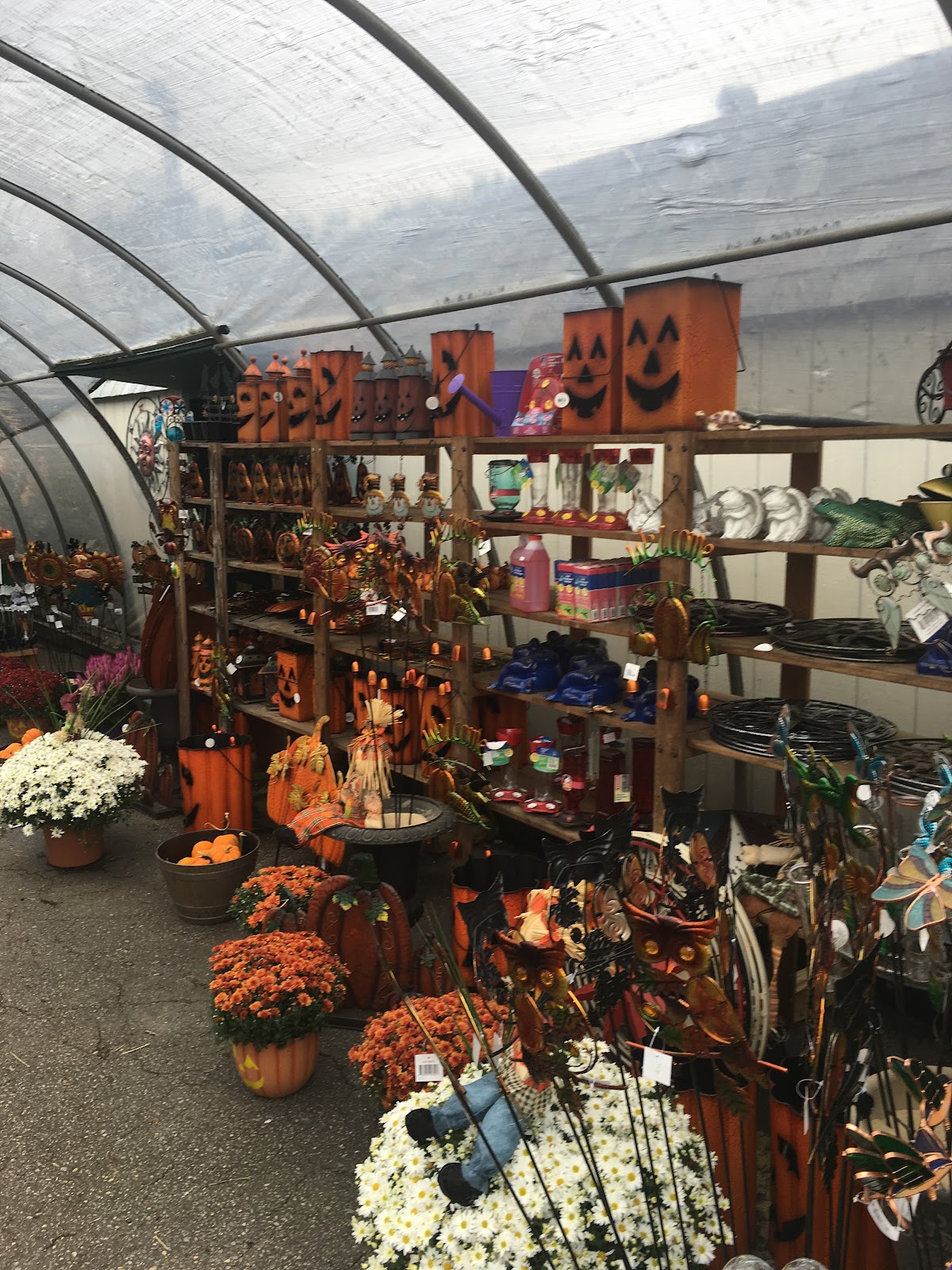 GreenTop Gardens