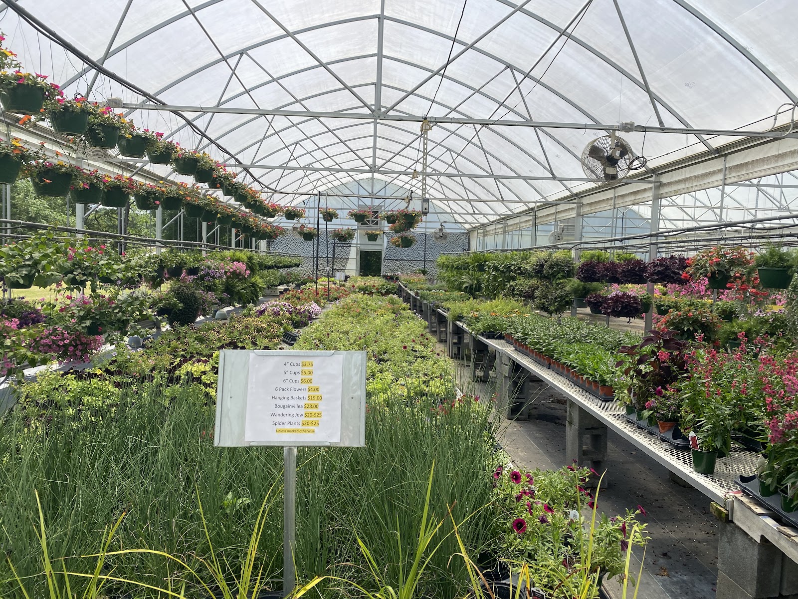 Griffin's Greenhouses