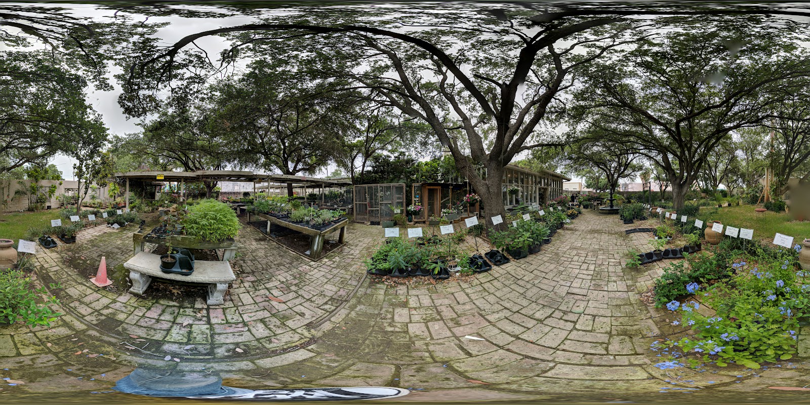 Grimsell Seed Co