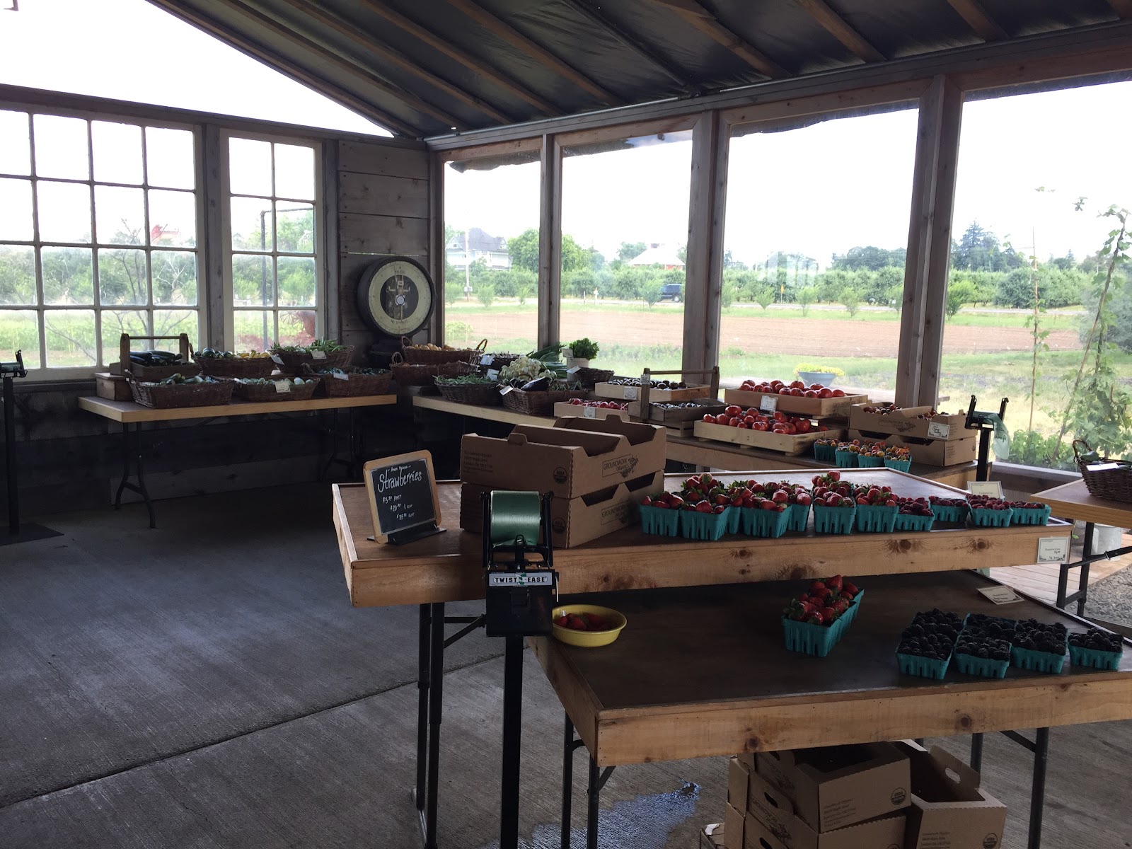 Groundwork Organics- Farm Stand