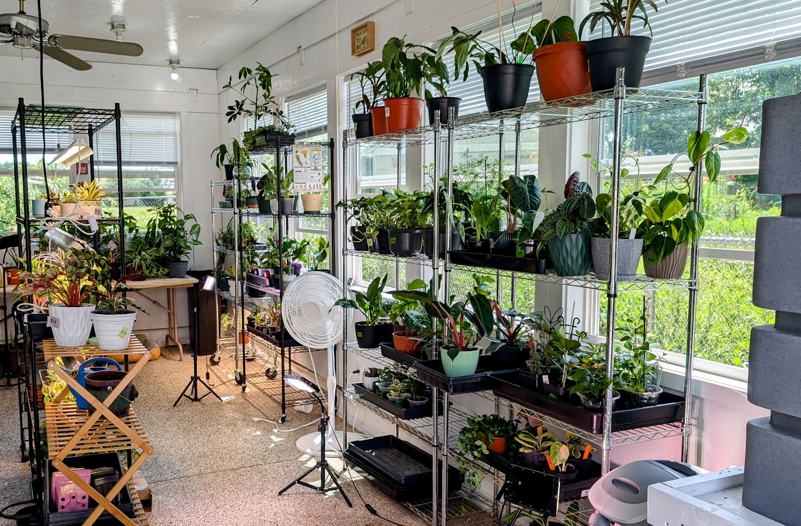 Grow Veggie Plants (Plant Shop)