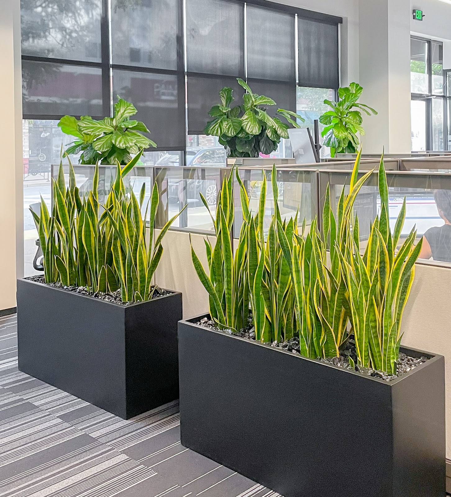 Growing Green