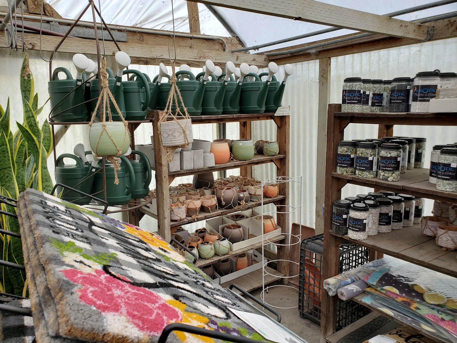 H & H Nursery