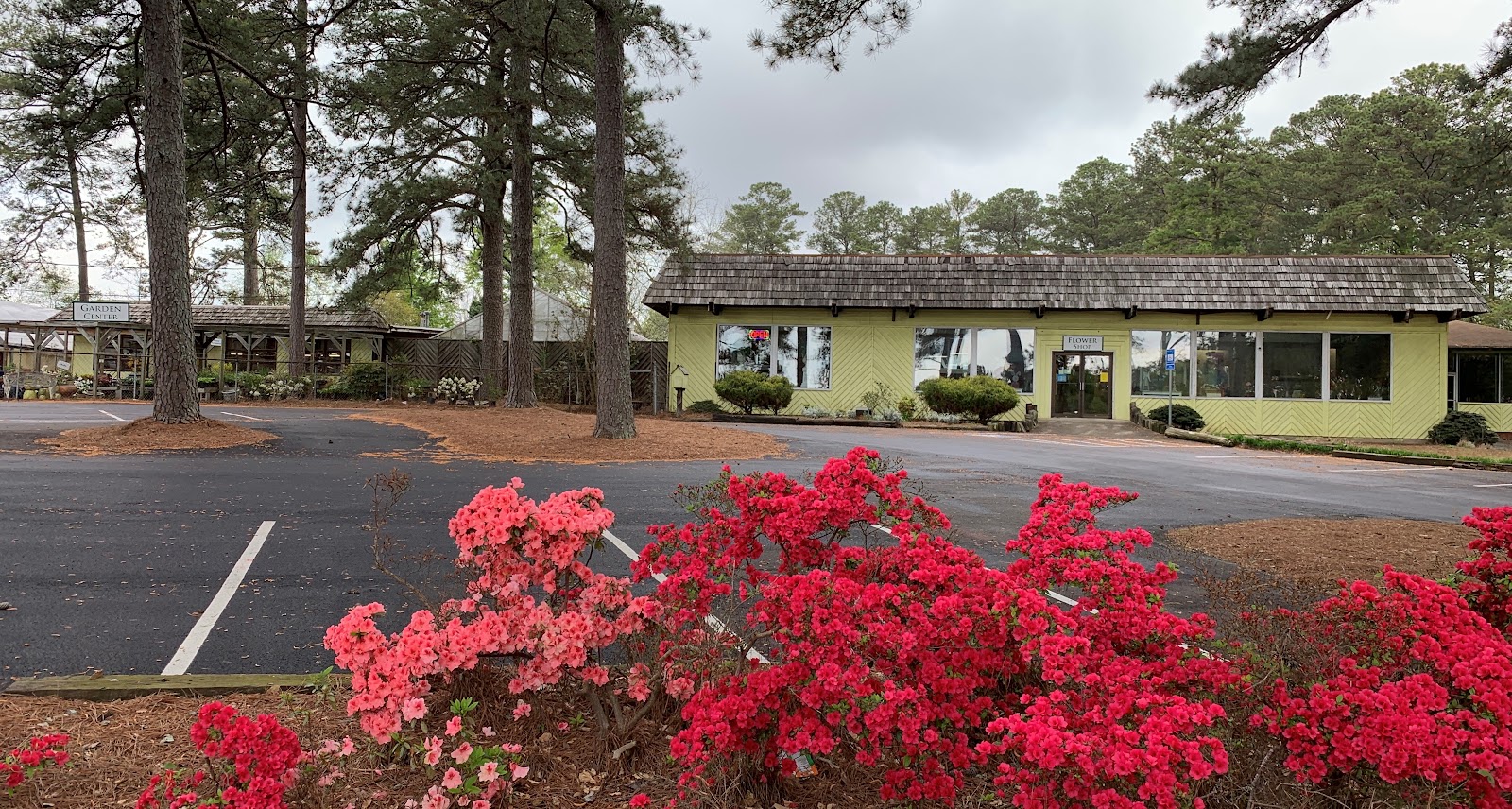 Hall's Flower Shop and Garden Center