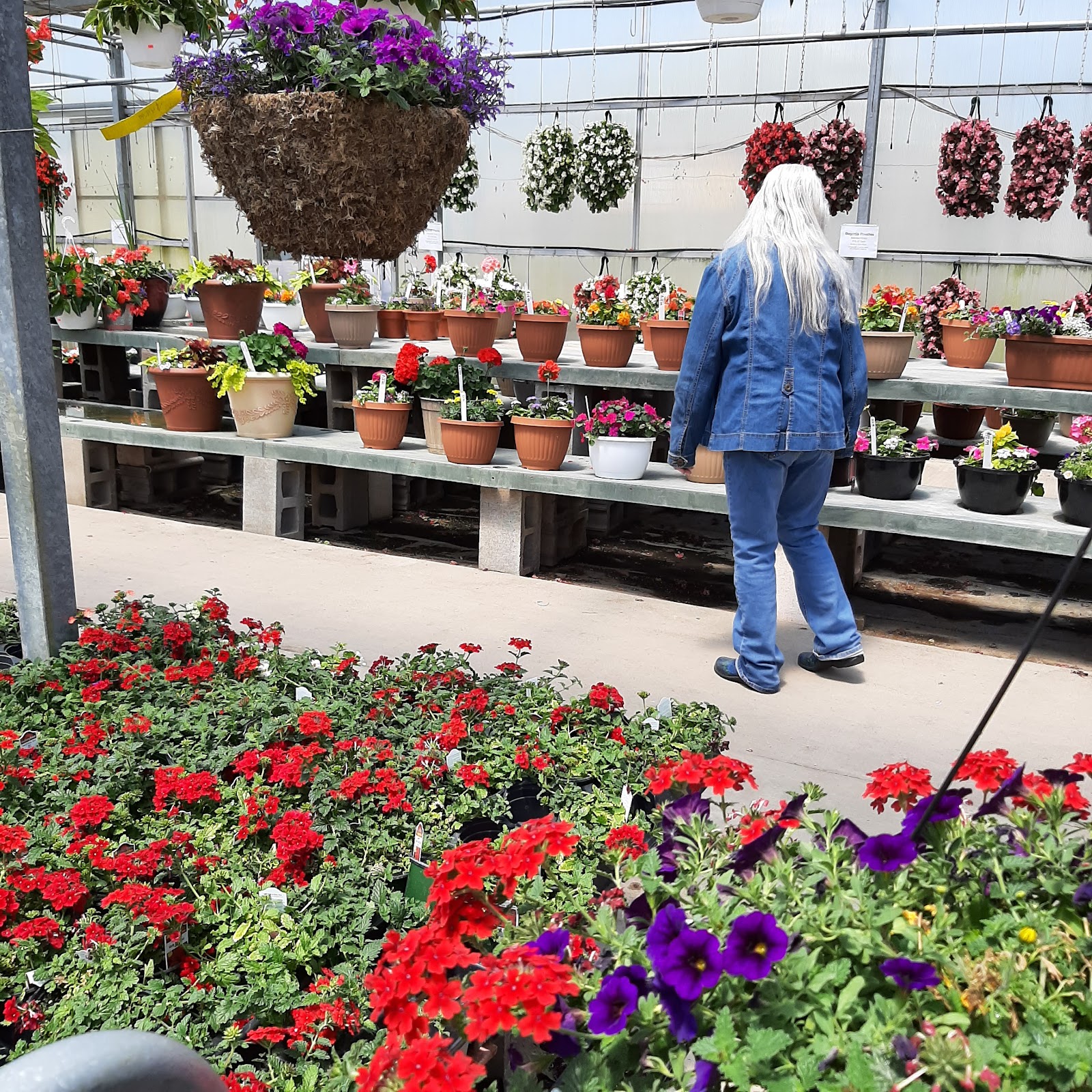 Hall's Greenhouse