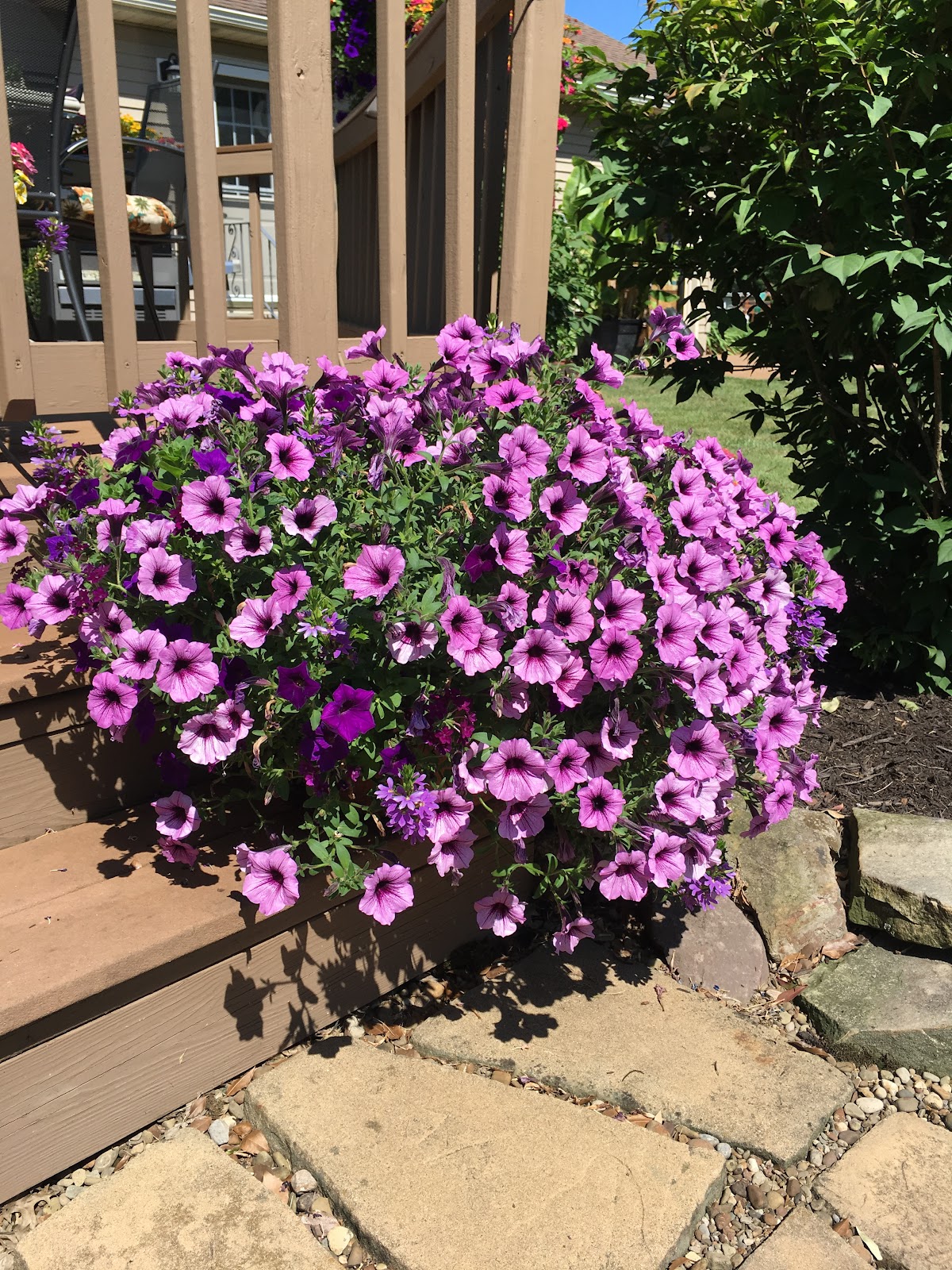 Hansen's Greenhouse