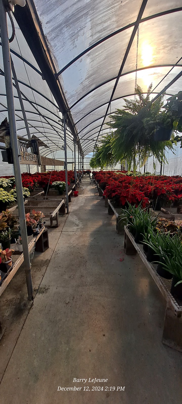 Harmon's Greenhouse & Nursery