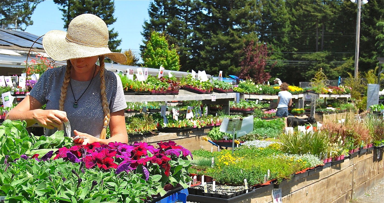 Harmony Farm Supply & Nursery