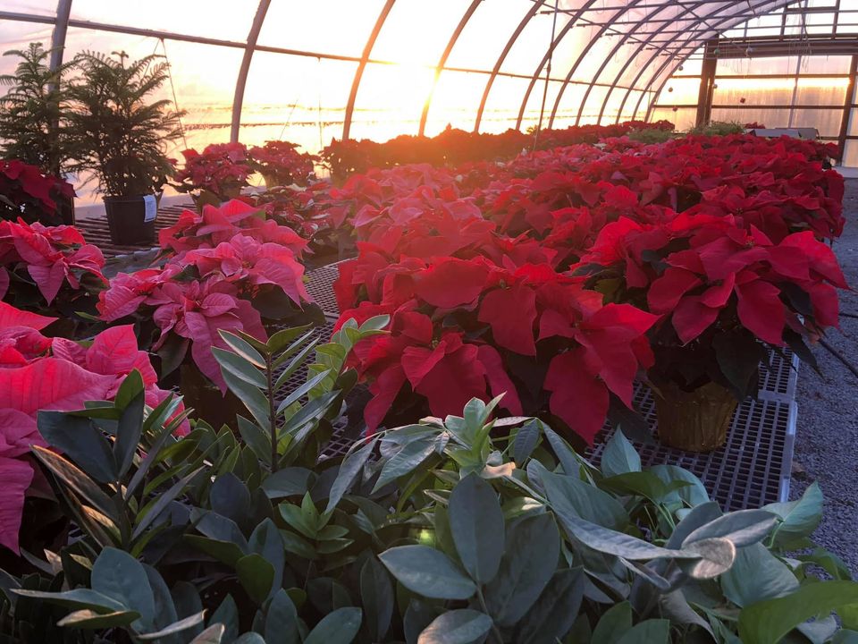 Harriman Farms