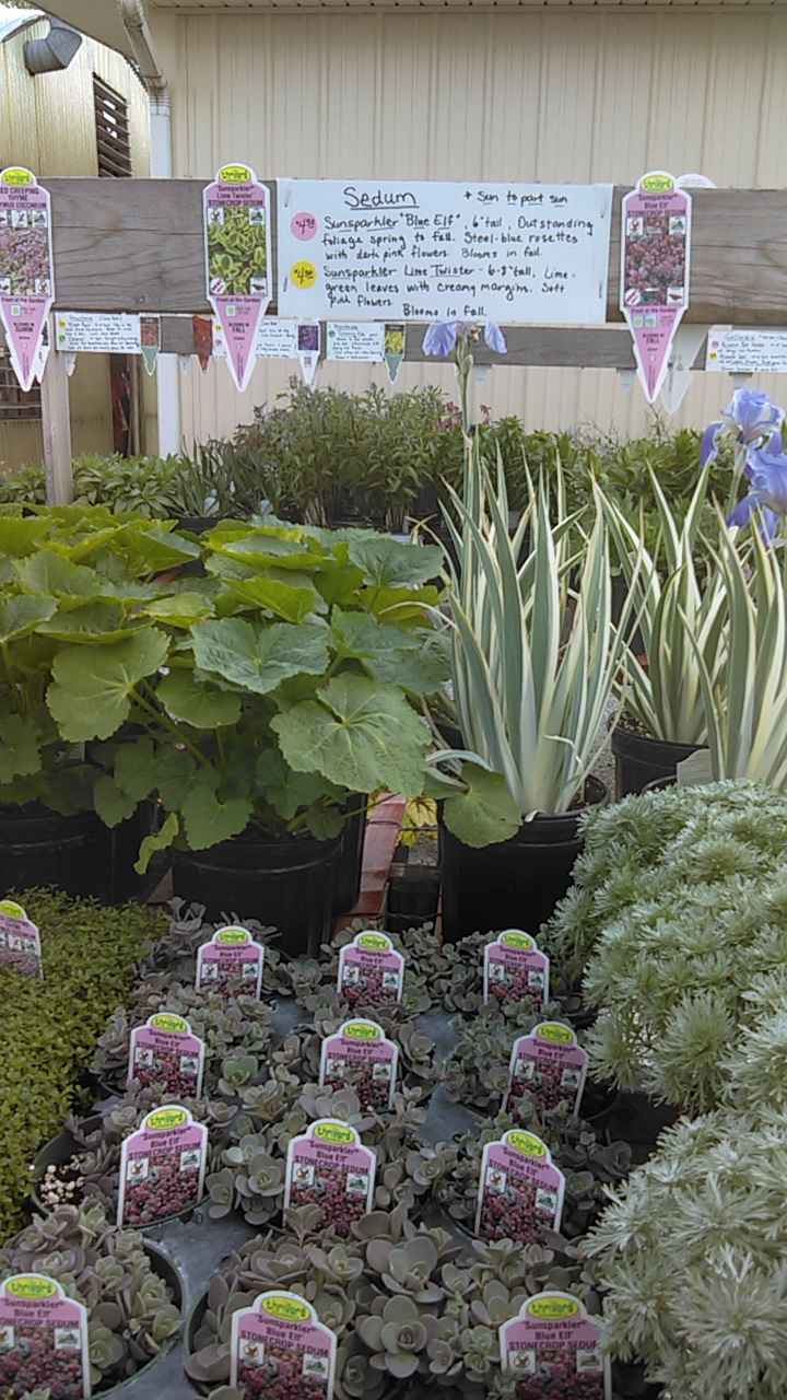 Harts Greenhouse & Nursery