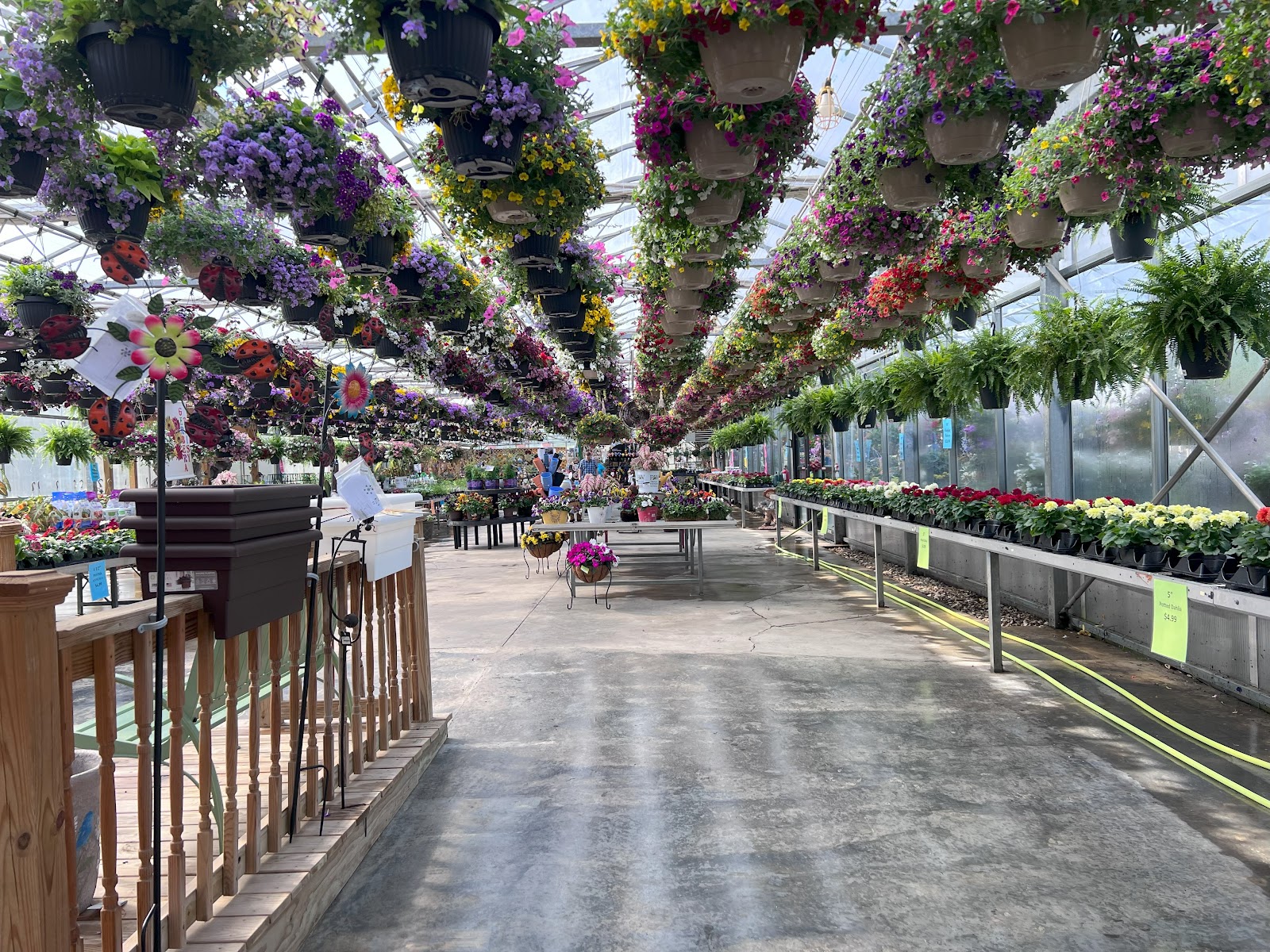 Harvest View Greenhouses LLC
