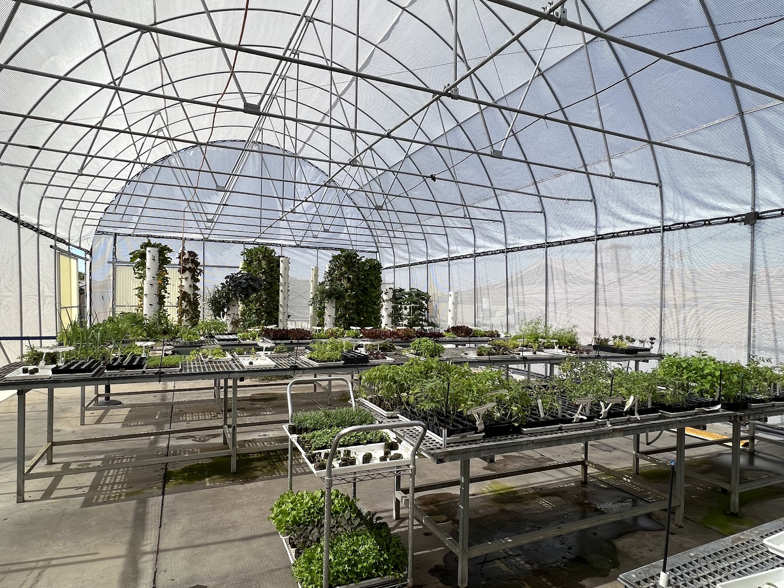 Healing Earth Farms / True Garden