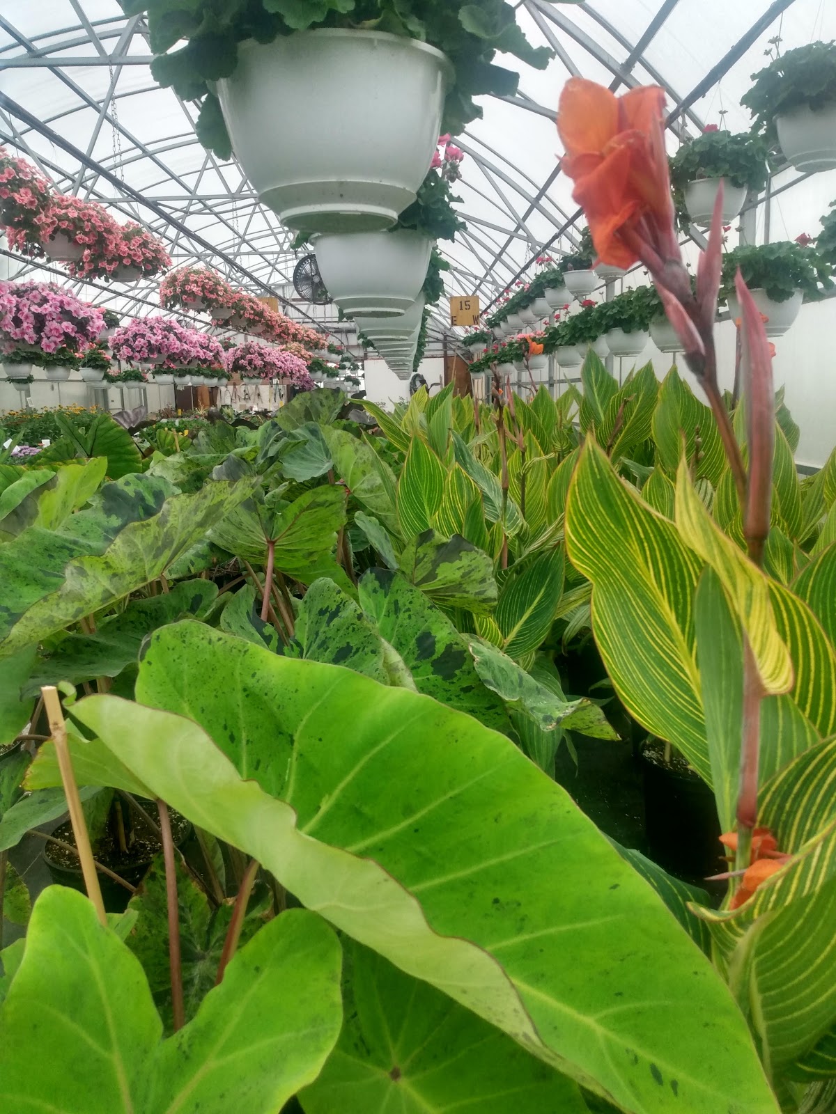 Heartland Greenhouse