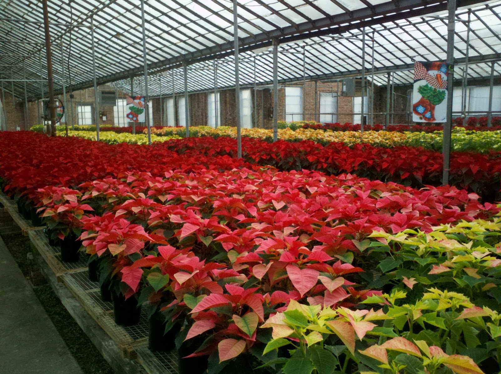 Heller Nursery Inc