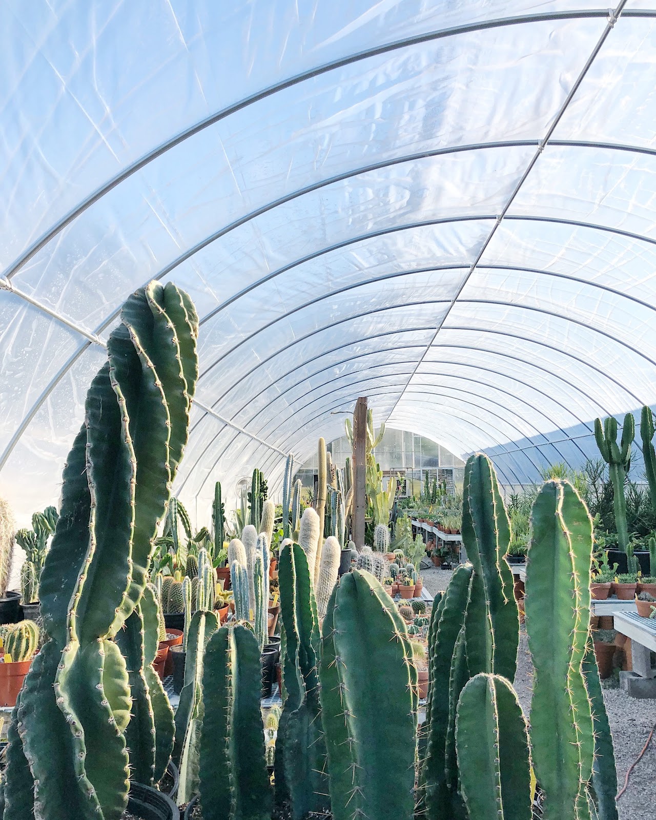 Hewitt Garden and Design Center