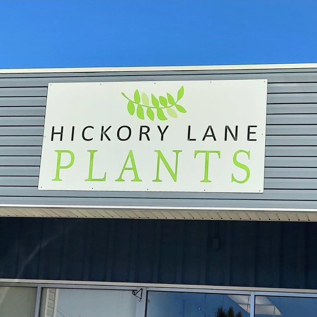 Hickory Lane Plants