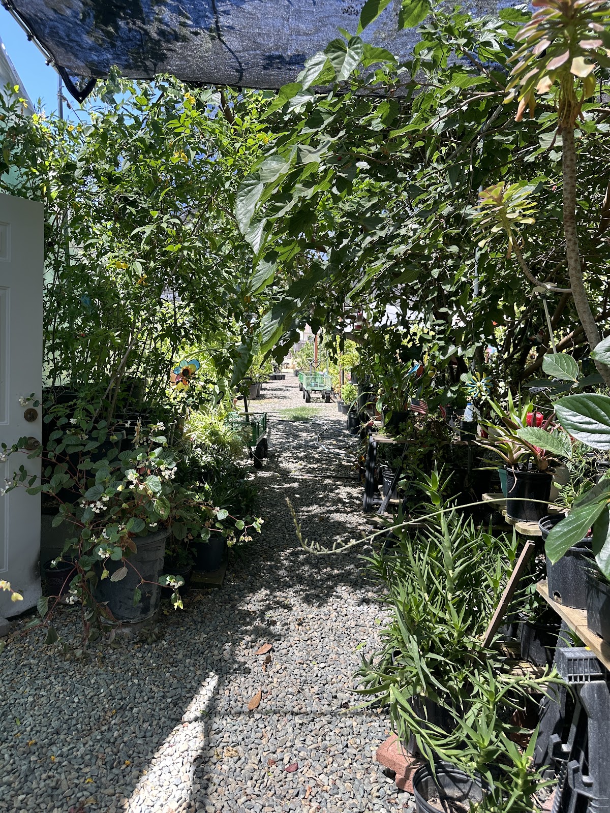 Highlands Nursery