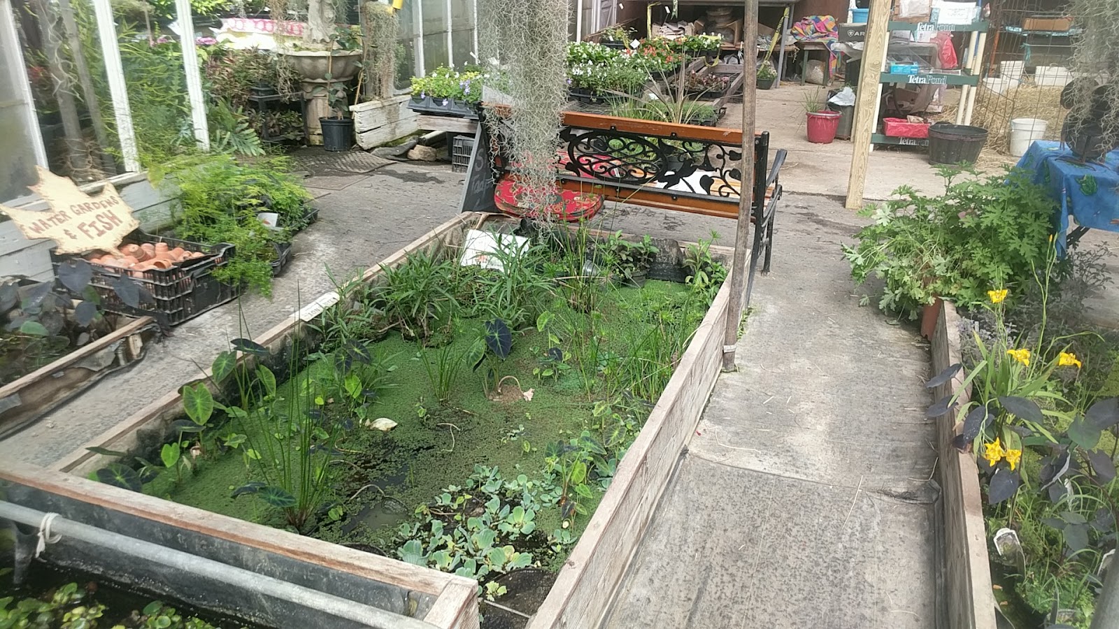 Hill Haven Farm & Greenhouse