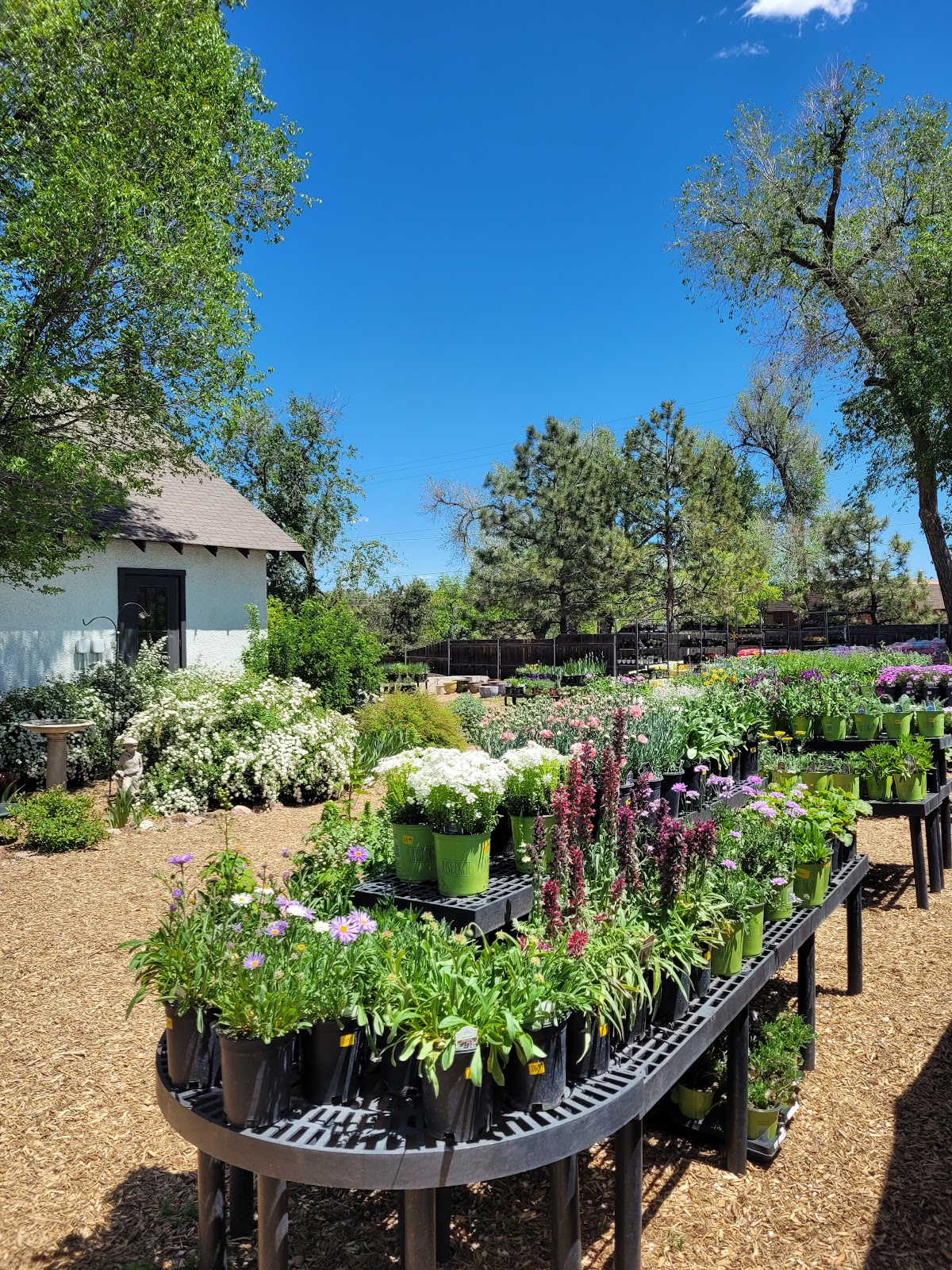 Hillside Garden Center