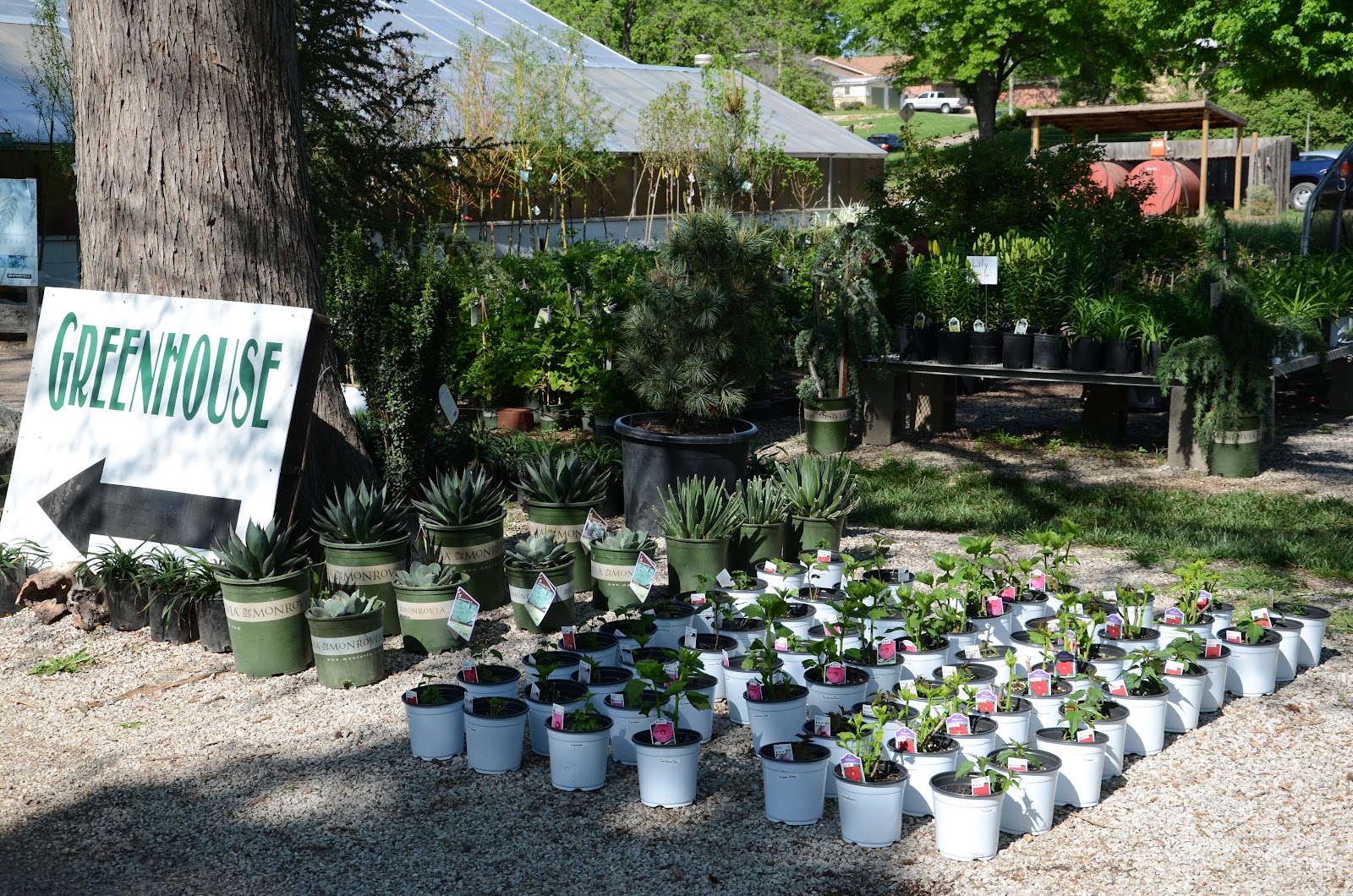 Hillside Nursery