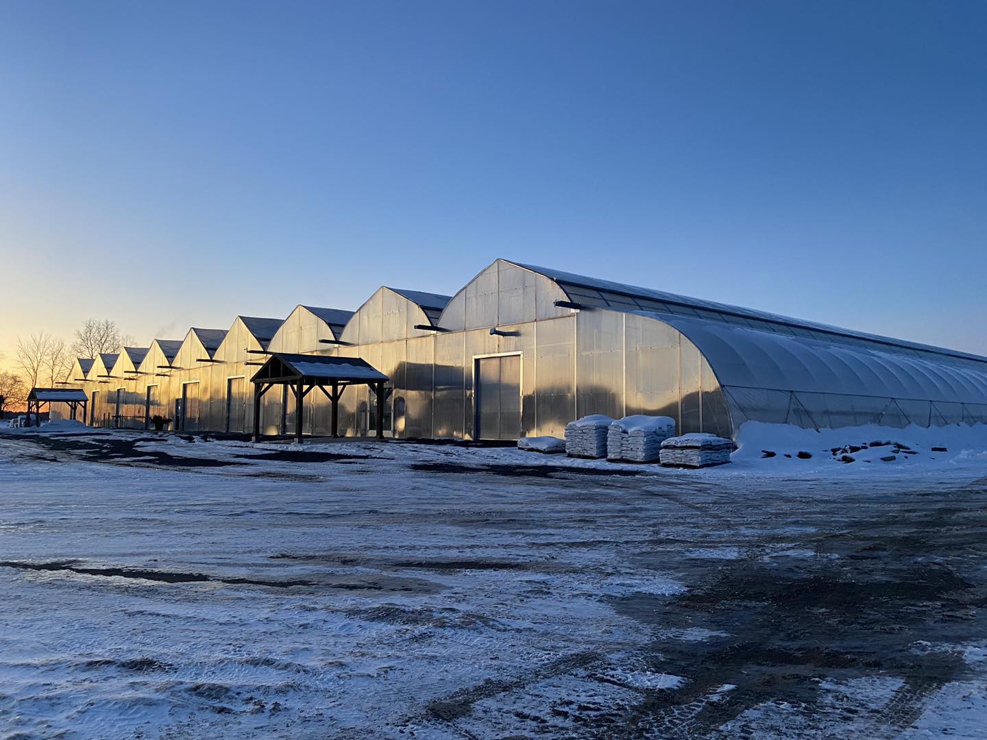 HillTop Greenhouse & Farms