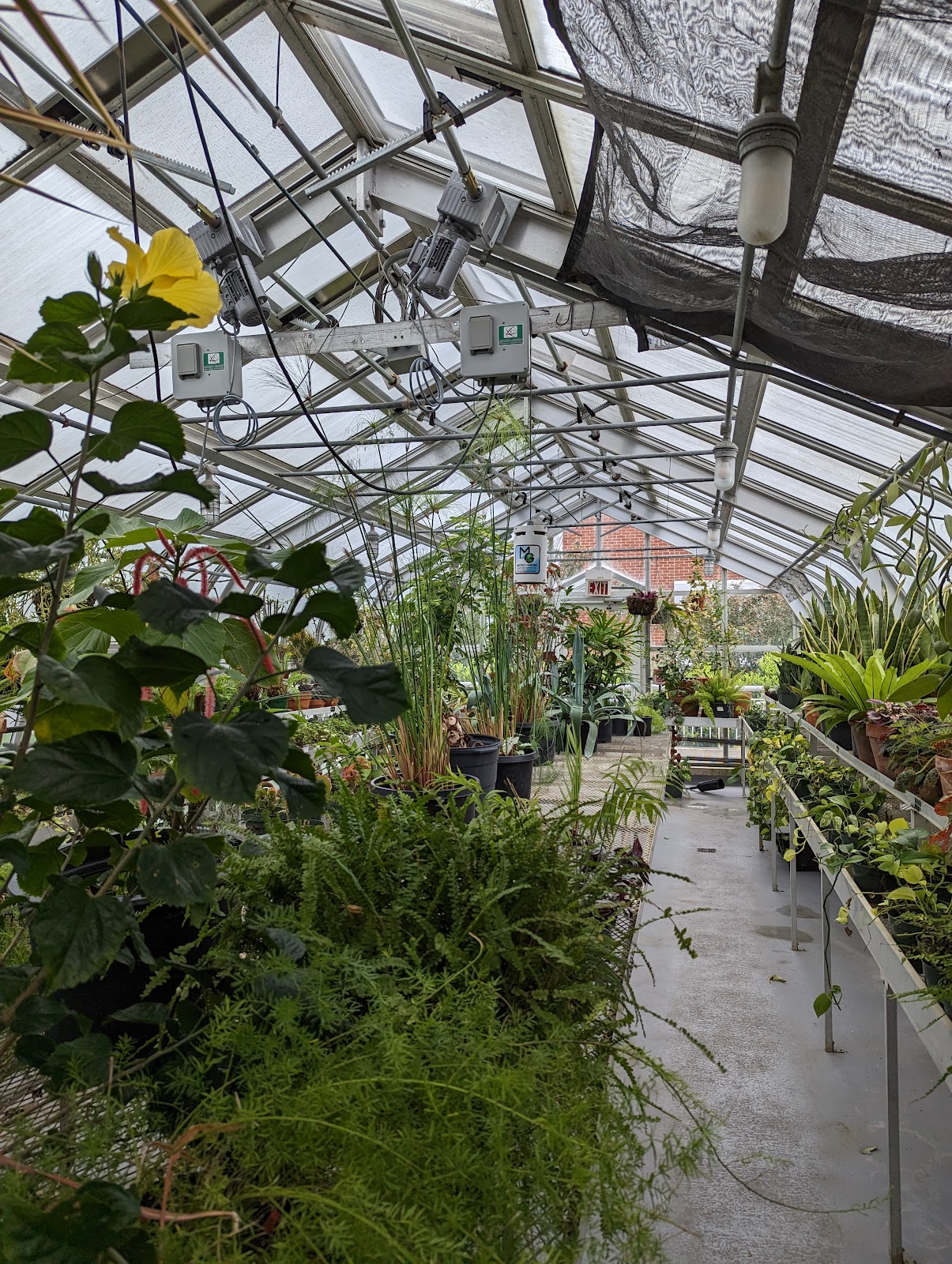 Hillwood Estate Greenhouse