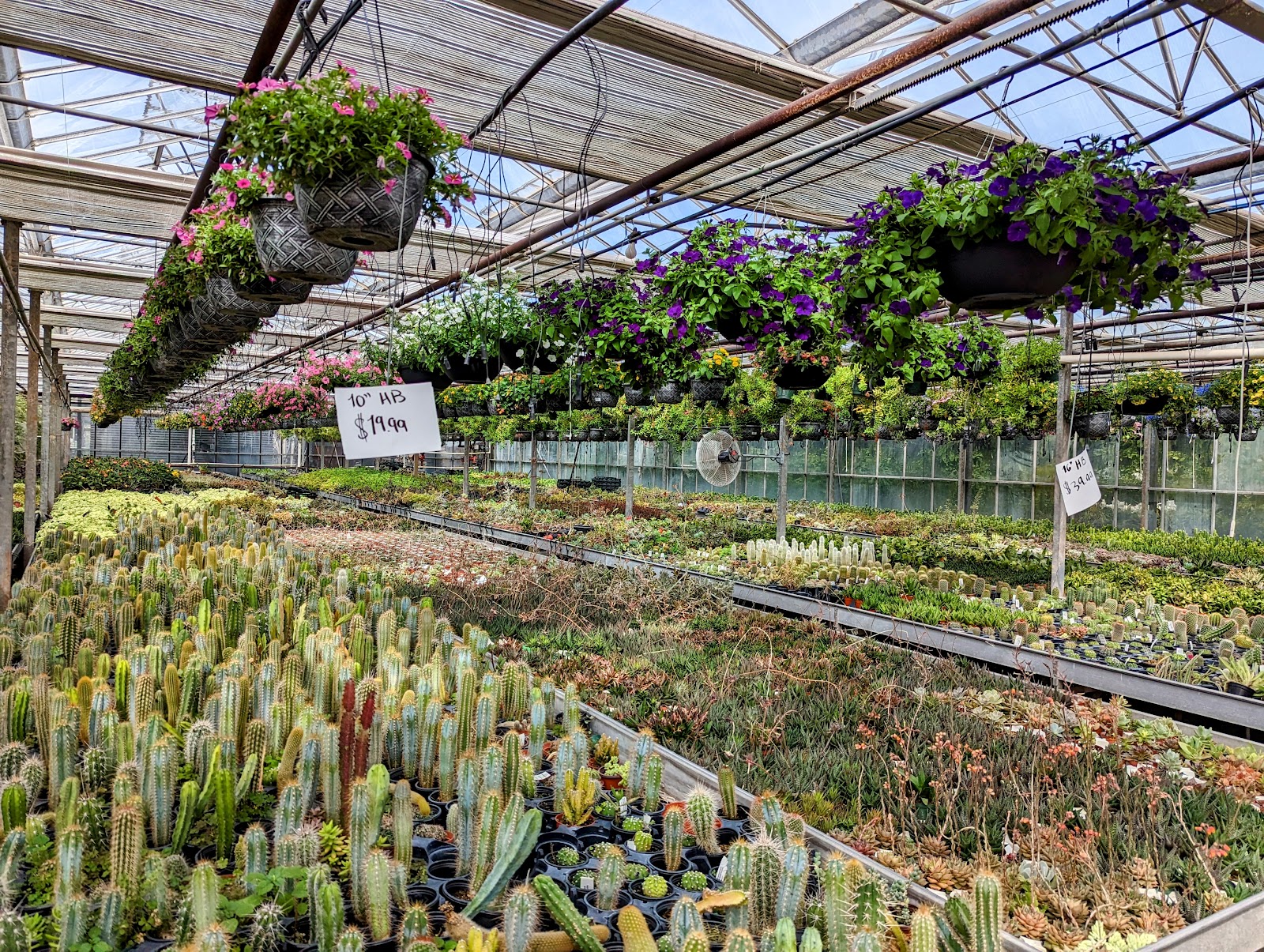 Hionis Greenhouses