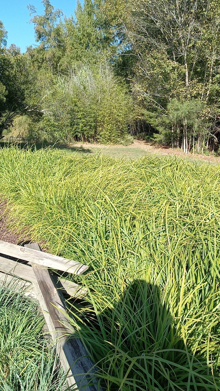 Hoffman Nursery