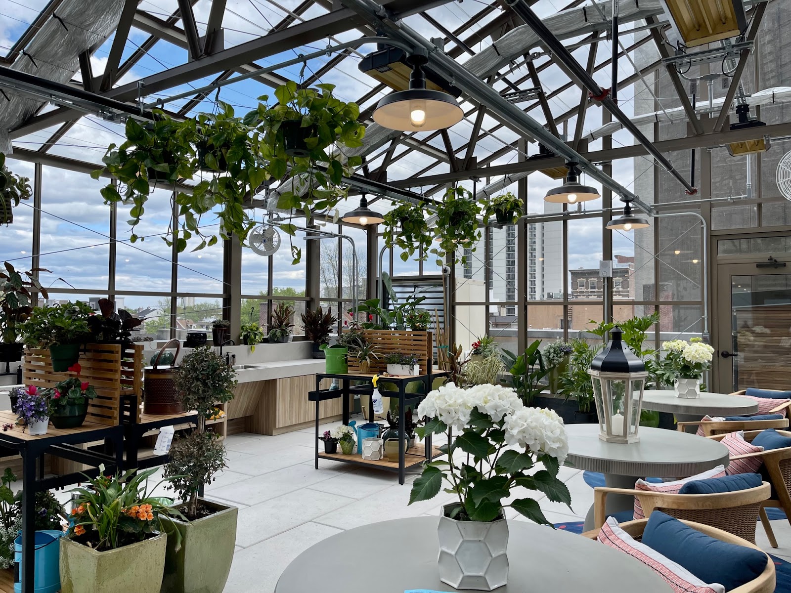 Hofmann's Greenhouse Installations