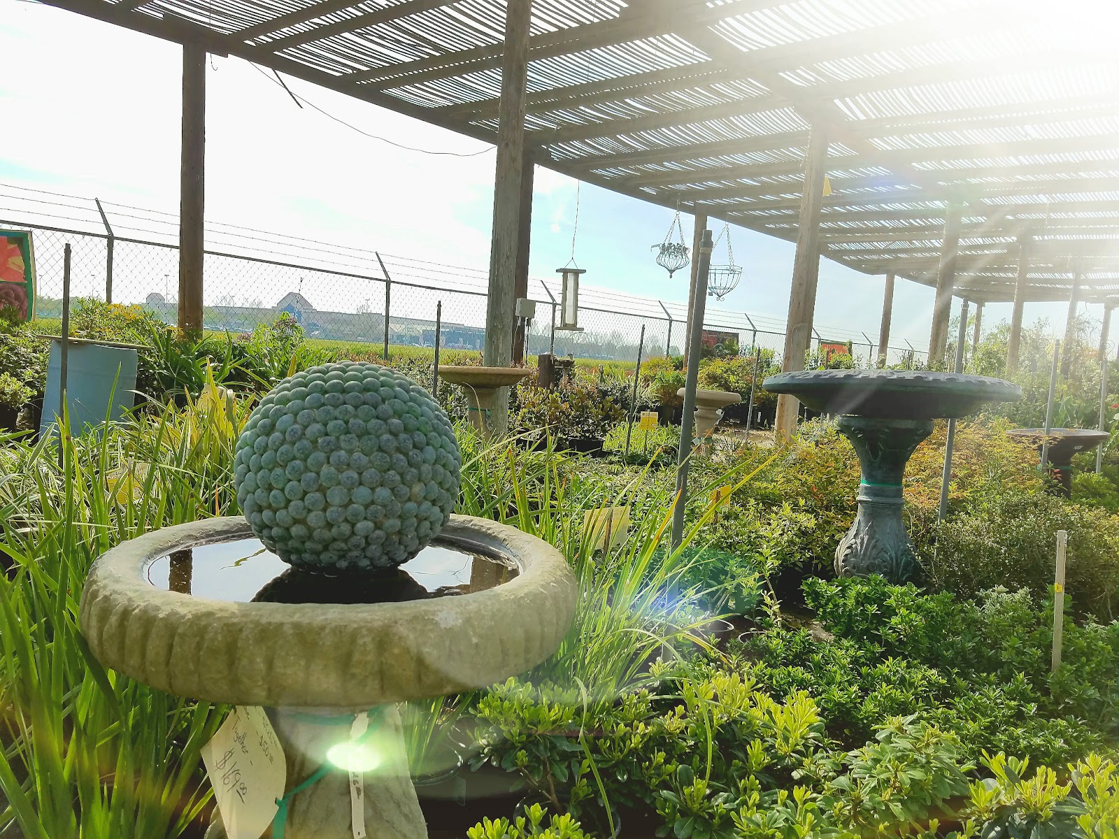 Hofmans' Nursery
