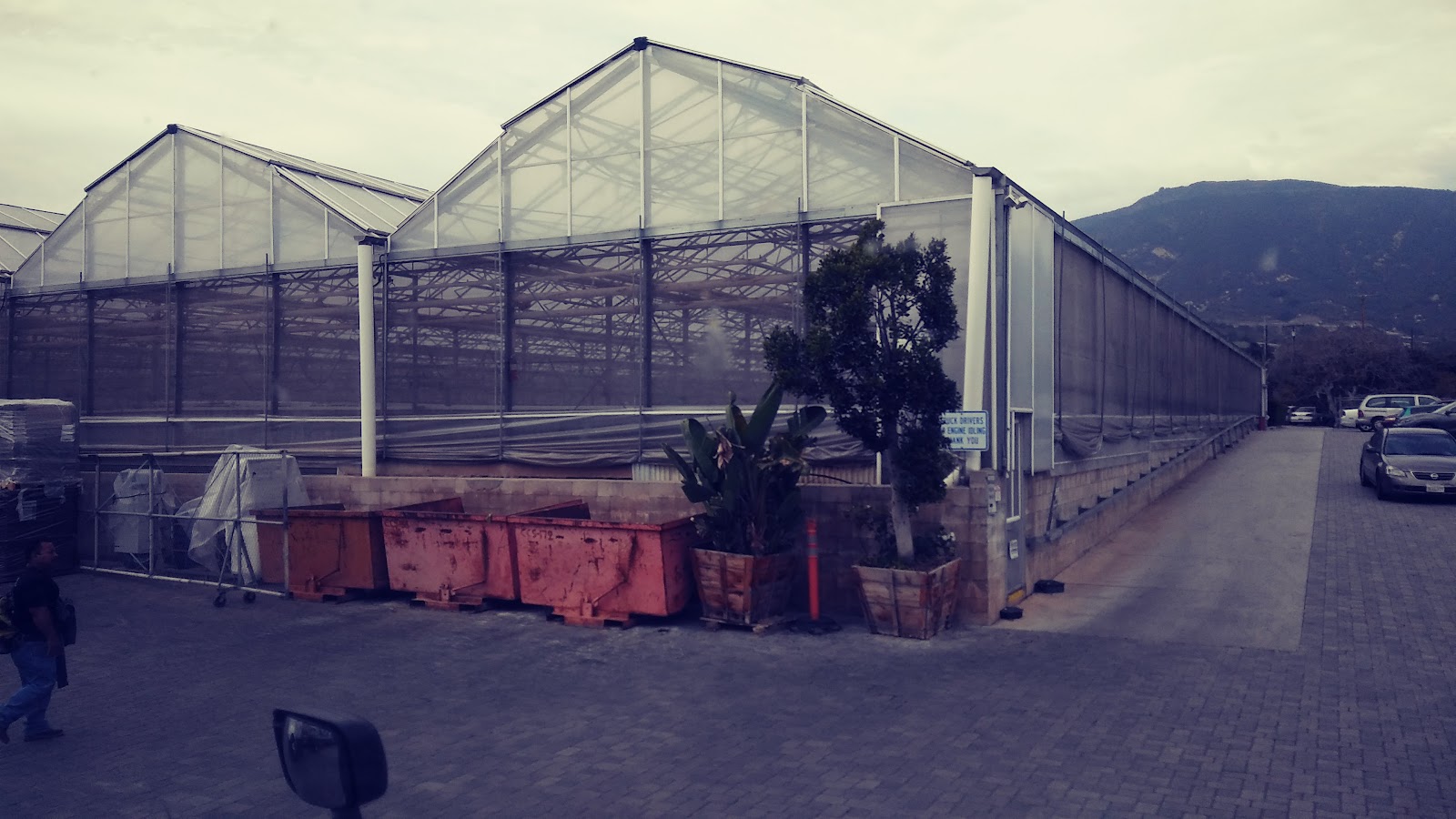 Hollandia Produce (Pete's)