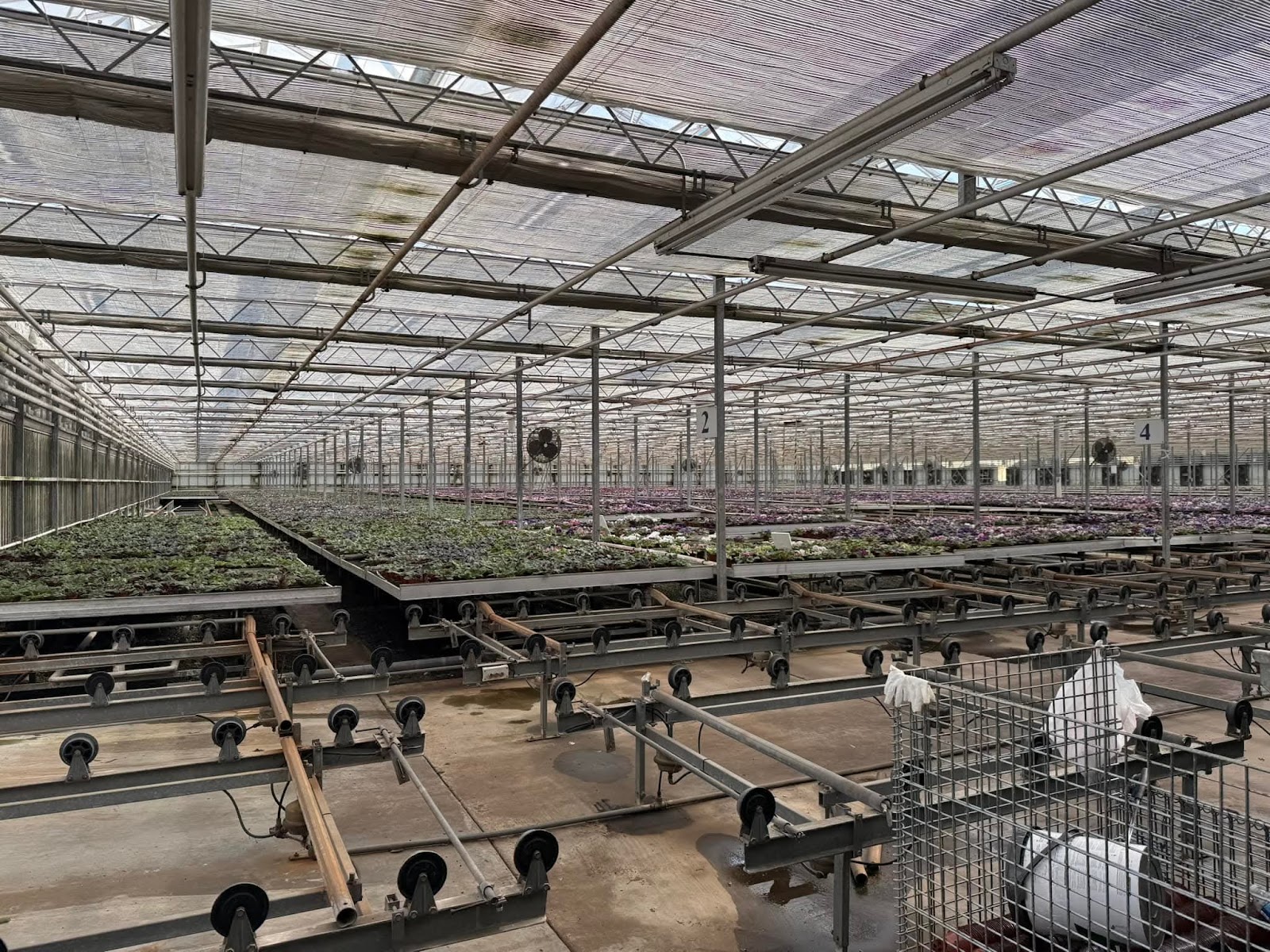 Holtkamp Greenhouses Inc
