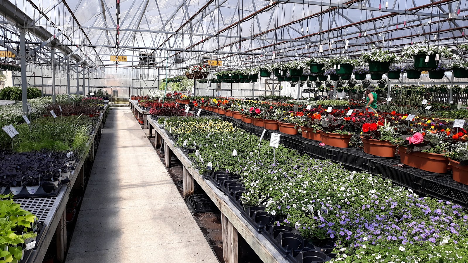 Homestead Greenhouse & Garden Center