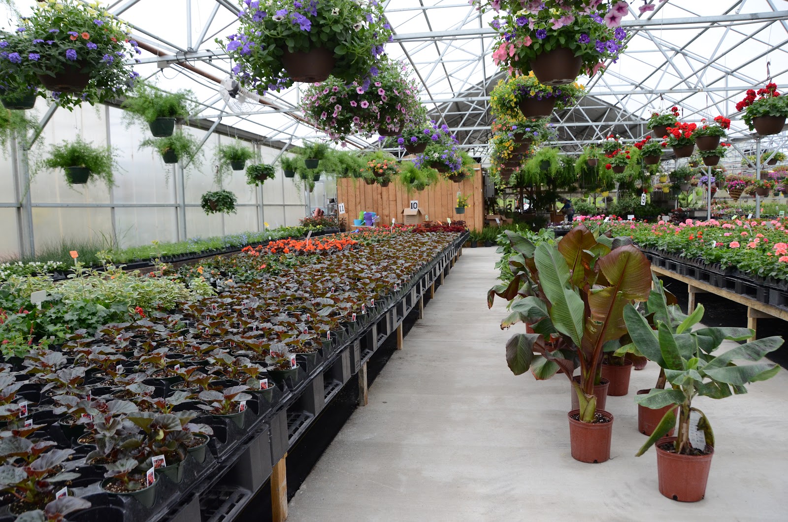 Homestead Greenhouse