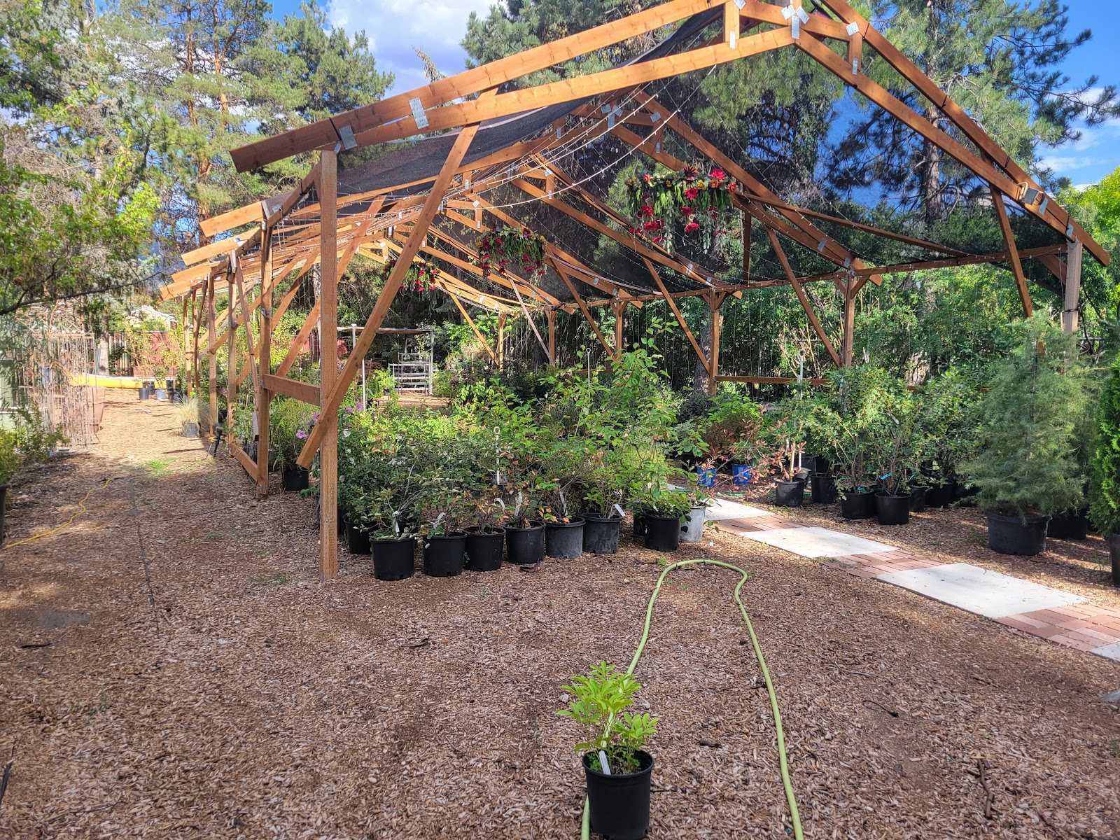 Homestead Nursery