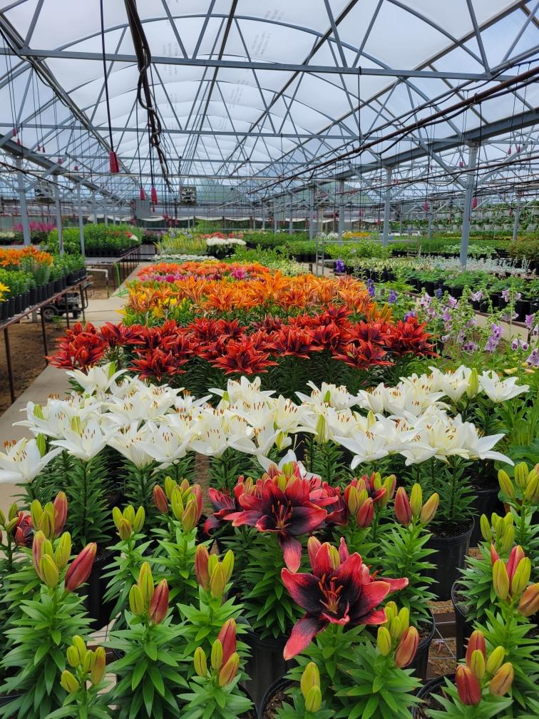 Hope Farms