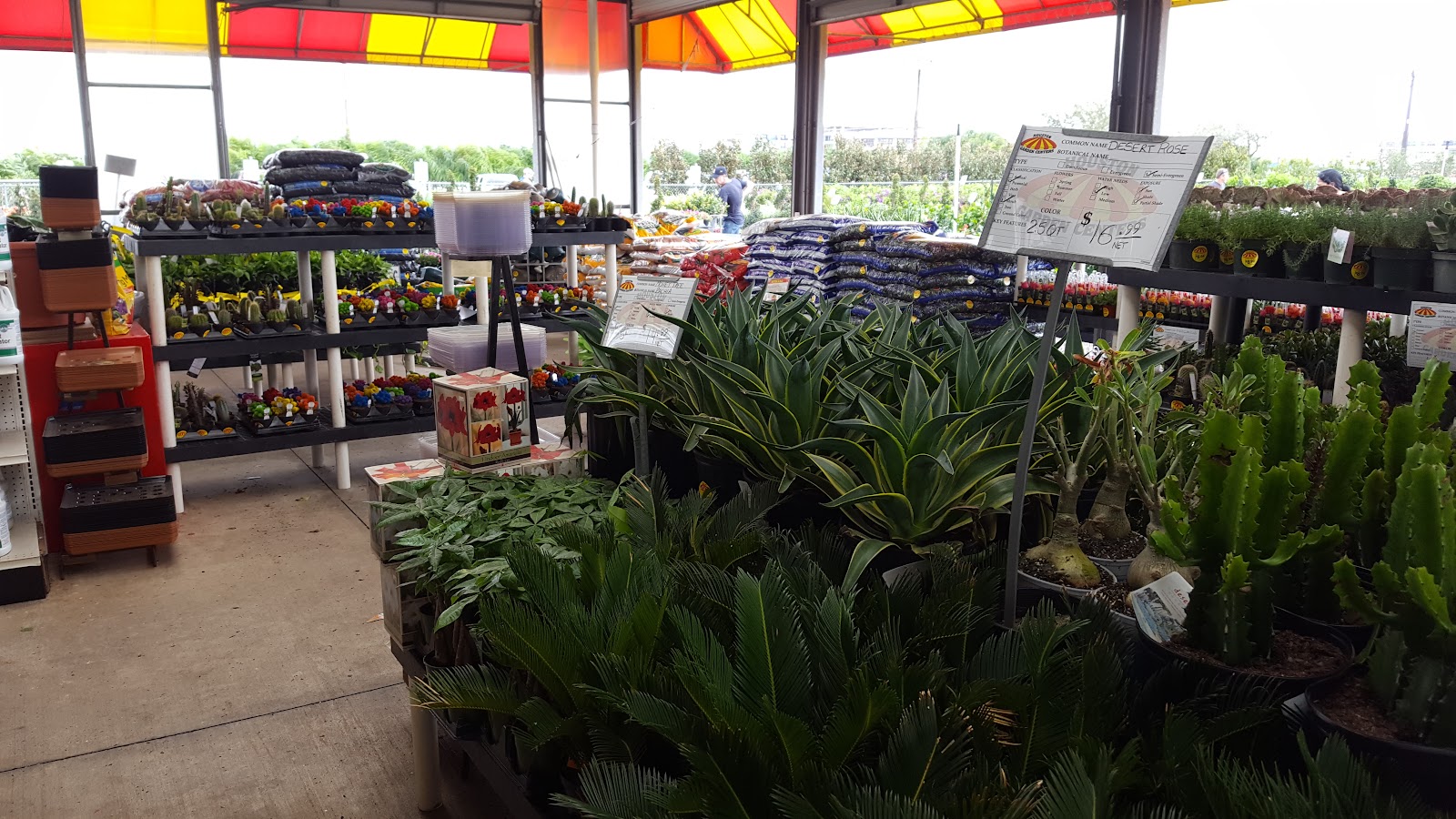 Houston Garden Centers