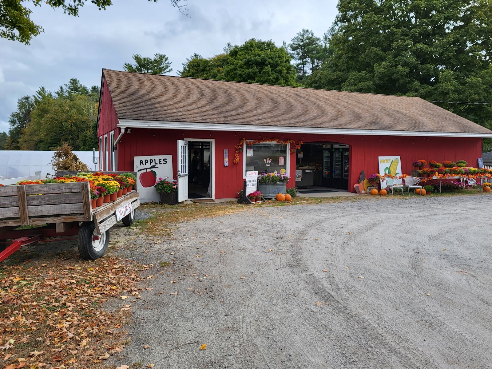 Hubbard's Farm Greenhouse