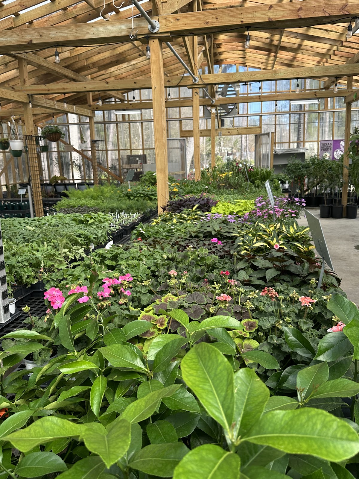 Huck's Home & Garden